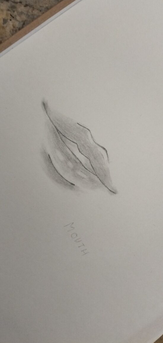 Visuel 1